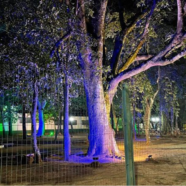 Prefeitura entrega nova iluminação ao Bosque da Galdino