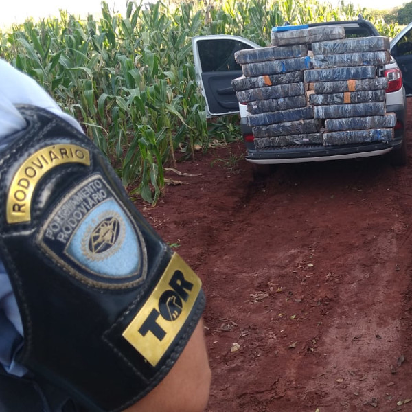 Mais de 200 kg de maconha são apreendidos em rodovia em Paraguaçu Paulista