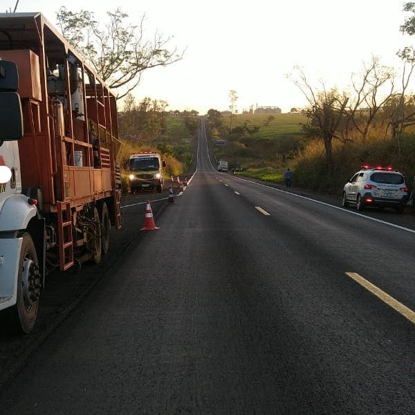 Trabalhador é atingido por retrovisor de ônibus e morre durante pintura de sinalização em rodovia