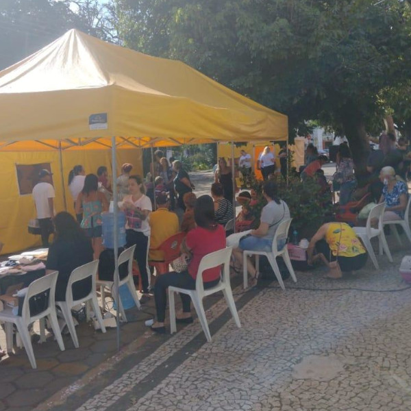 Programa Castramóvel atende 150 animais em Paraguaçu