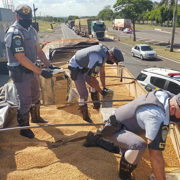 Homem flagrado com 7,4 toneladas de maconha em carga de soja pega mais de 11 anos de prisão