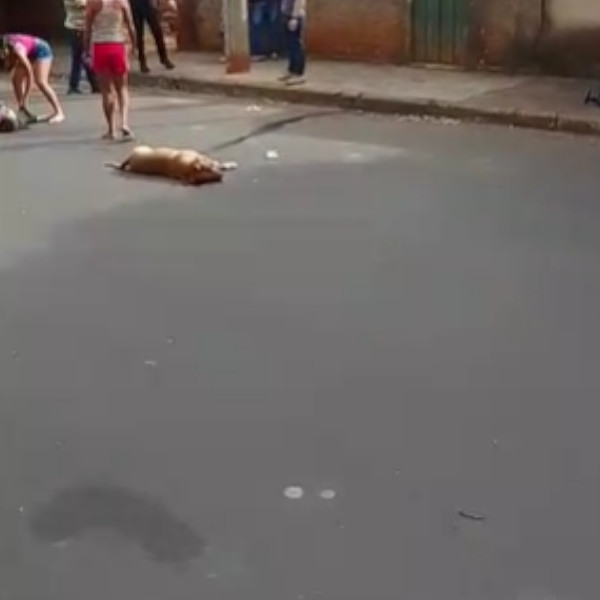 Confusão entre policiais e moradores termina com 3 presos e cachorro morto a tiros em Paraguaçu