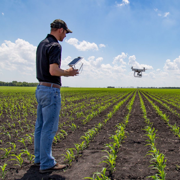 Agroterenas tem vaga de emprego para Paraguaçu