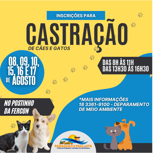 Prefeitura abrirá inscrições para castração de cães e gatos