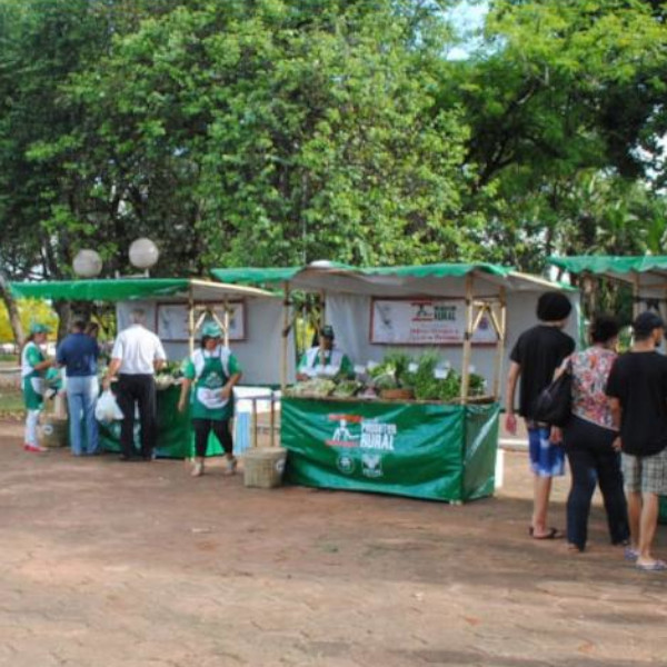 Sindicato Rural Patronal e Prefeitura promovem atividade para produtores rurais