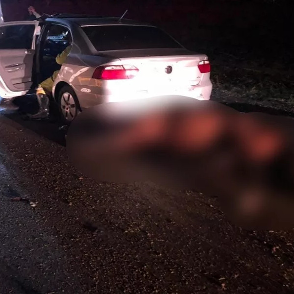 Cavalo solto na pista é atropelado duas vezes na SP-294 