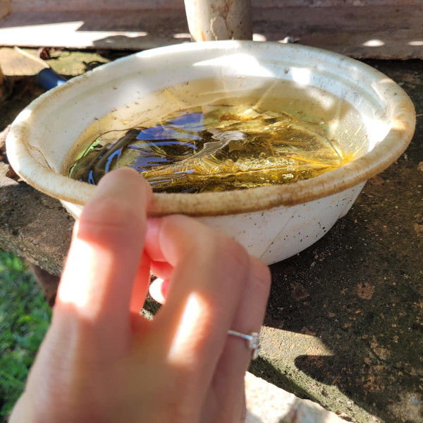 Ações de enfrentamento contra  a dengue não param em Paraguaçu