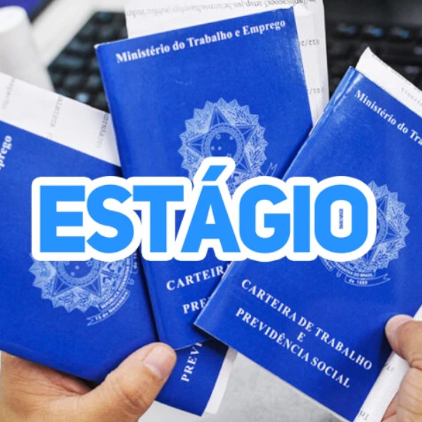 Secretaria da Educação de SP oferece vagas de estágio de nível superior em diversas áreas 