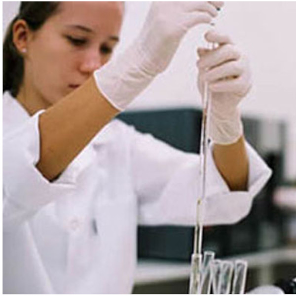 Cocal de Paraguaçu inscreve até hoje para vaga de emprego