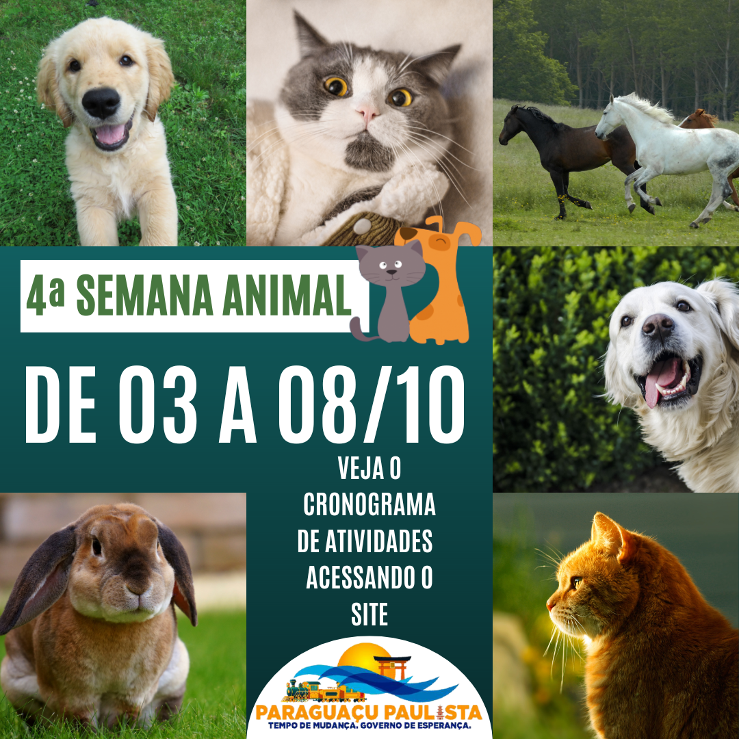 Prefeitura promove eventos em comemoração ao Dia Mundial do Animal