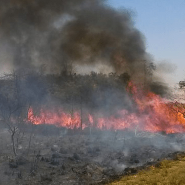 Defesa Civil alerta de estiagem para o interior de São Paulo