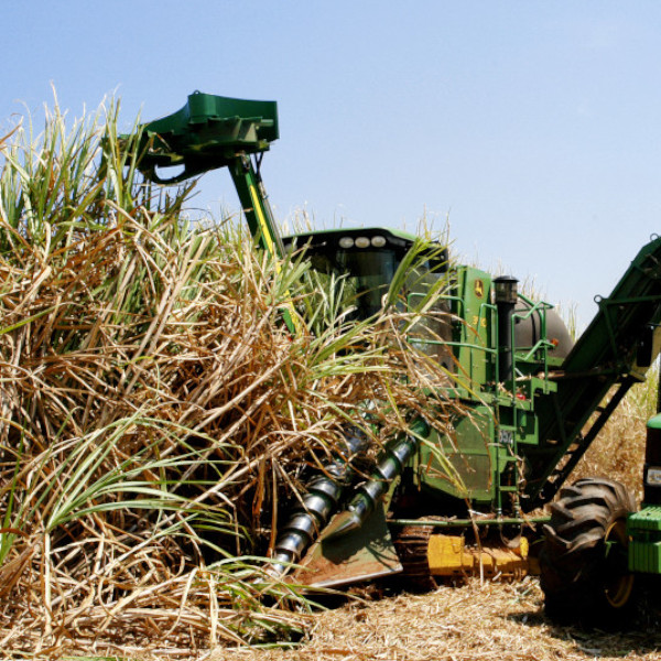 Sindicato Rural e Agroterenas inscrevem também para Curso de operação de colhedora automotriz