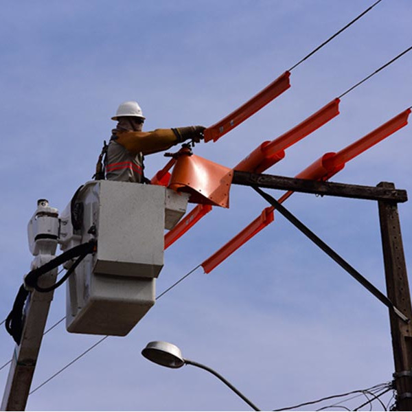 Energisa monta plano especial de atuação para o dia das eleições 