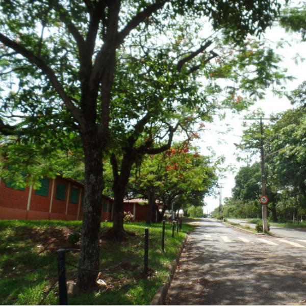 Prazo de inscrição do vestibulinho da Etec de Paraguaçu é prorrogado até o dia 23, quarta