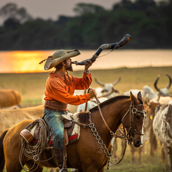 Pantanal vence prêmio internacional de melhor telenovela