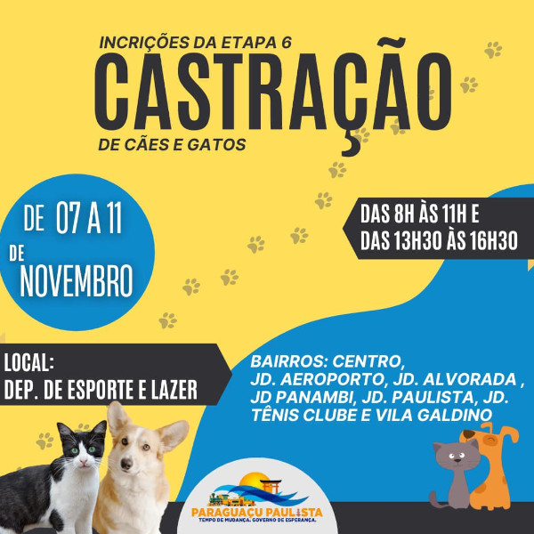 Prefeitura abrirá inscrições para mais uma etapa para castração de cães e gatos