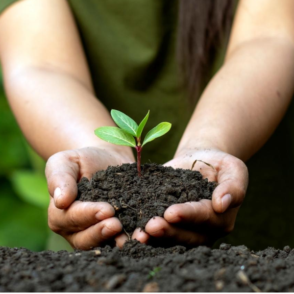 Faculdade de Agronomia de Paraguaçu Paulista está com inscrições abertas para vestibular 2023