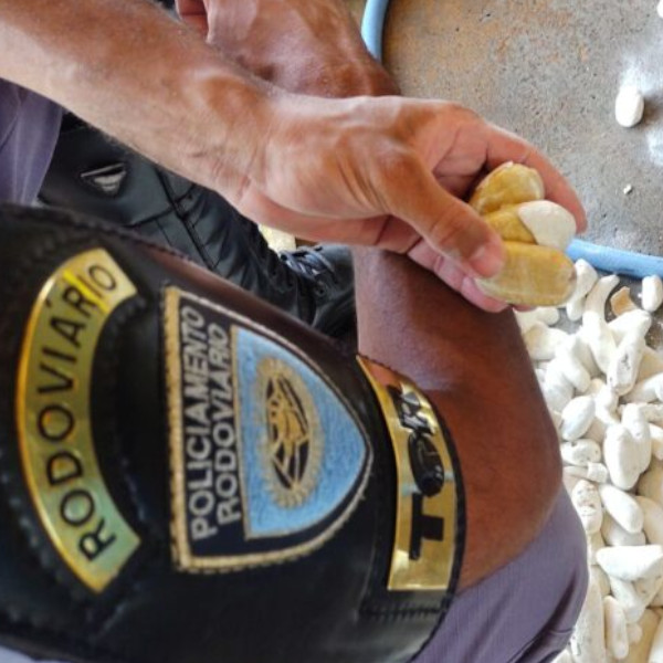 Boliviano é preso com batatas recheadas de cocaína na região