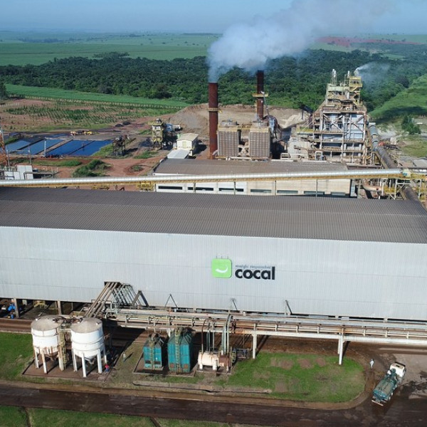 Cocal está entre as maiores empresas do agro brasileiro, de acordo com revista Forbes