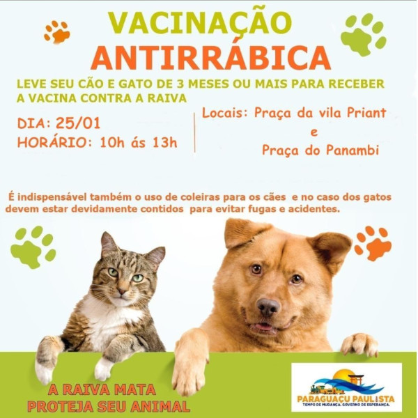 Quarta-feira, 25 tem vacinação contra raiva para cães e gatos