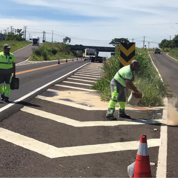 Homem decapitado é encontrado em rodovia da região