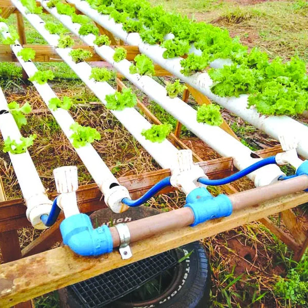Sindicato Rural Patronal de Paraguaçu inscreve para cursos gratuitos