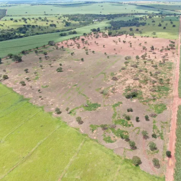 Fazenda é autuada em mais de R$ 55 mil por degradação de vegetação nativa em Rancharia