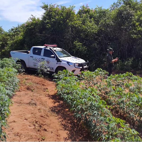 Polícia Ambiental aplica multa de mais de R$ 40 mil por destruição de mata em Paraguaçu Paulista