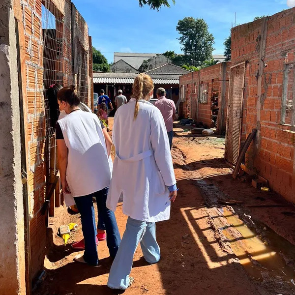 Operação conjunta identifica atuação irregular e interdita cinco desmanches de veículos