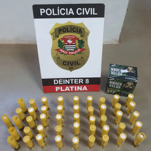 Polícia Civil prende três por porte de arma de fogo e caça de animais sem autorização