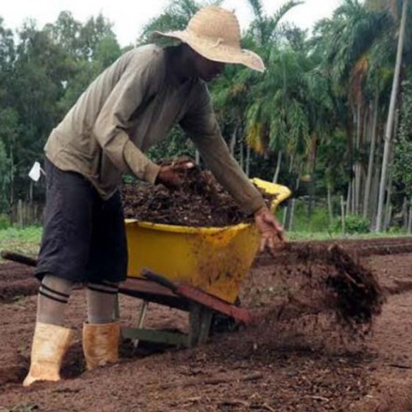 Sindicato Rural de Paraguaçu Paulista inscreve para cursos de abril