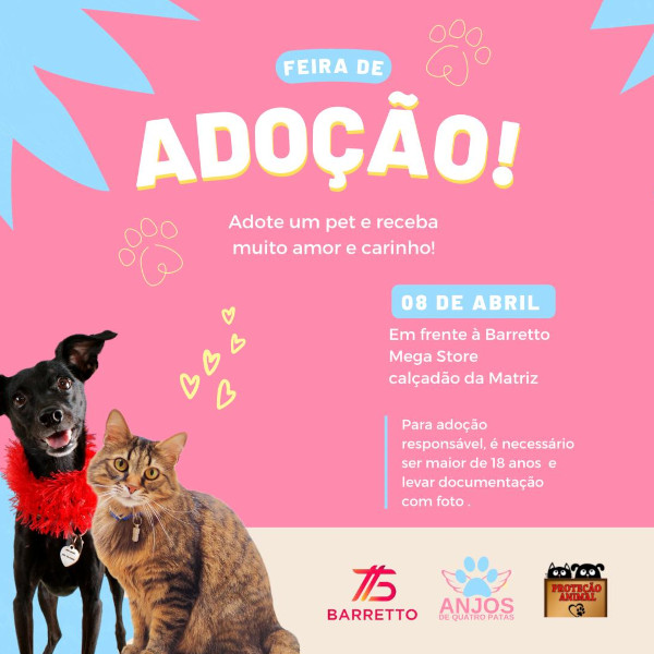 Hoje tem Feira de Adoção em Paraguaçu Paulista
