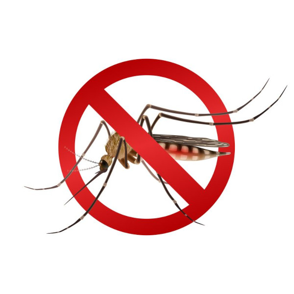 Rodovias: Artesp e concessionárias fazem campanha contra o Aedes aegypti em todo estado