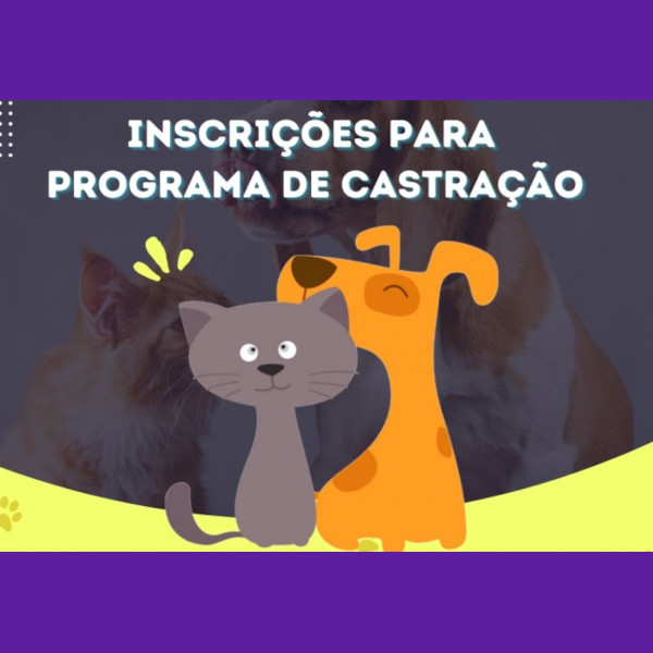 Prefeitura abre inscrições para a castração de cães e gatos