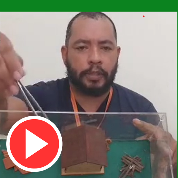 Vigilância em Saúde alerta para acidentes com escorpiões em Paraguaçu; VEJA VÍDEO