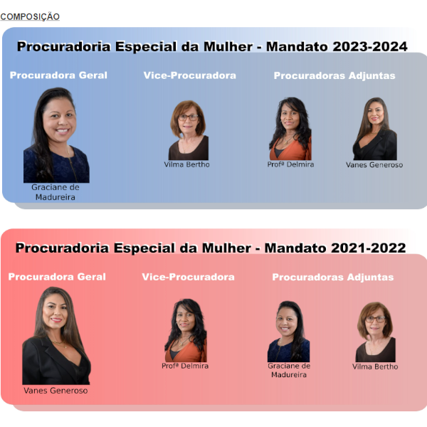 Site da Câmara tem espaço dedicado à Procuradoria da Mulher