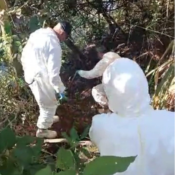 Vigilância em Saúde realiza vistoria em provável área de infecção de febre maculosa em Paraguaçu
