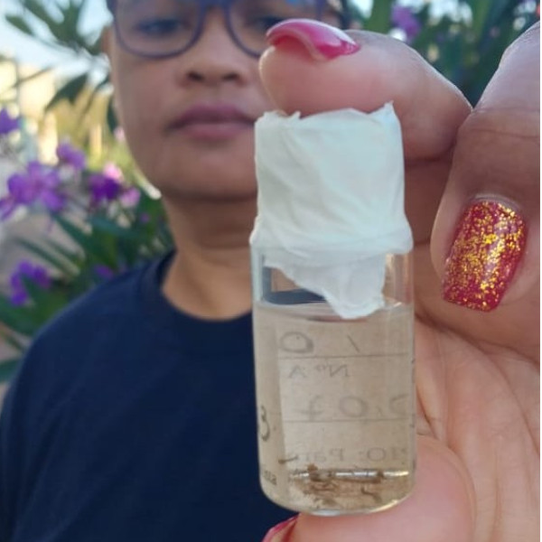 Agentes de Vetores analisam os níveis de infestação de larvas do Aedes aegypti em Paraguaçu Paulista