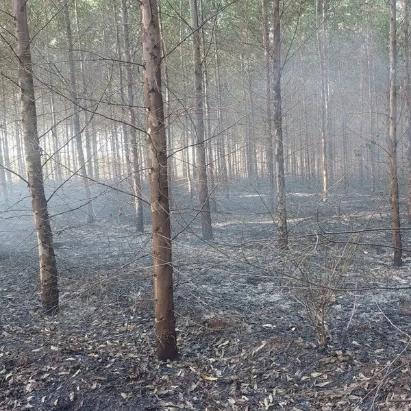 Incêndio de grandes proporções destrói área rural em Tupã