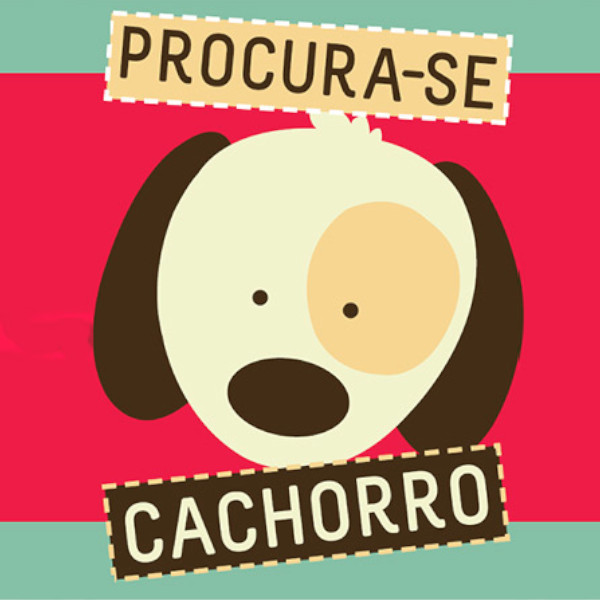 Tutor pede ajuda para encontrar cachorro caramelo de nome Tigre