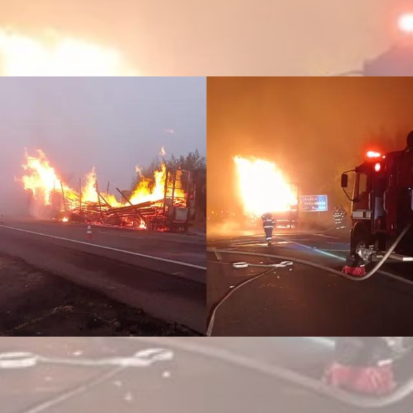 Incêndio consome treminhão carregado com eucalipto na Rodovia Castello Branco