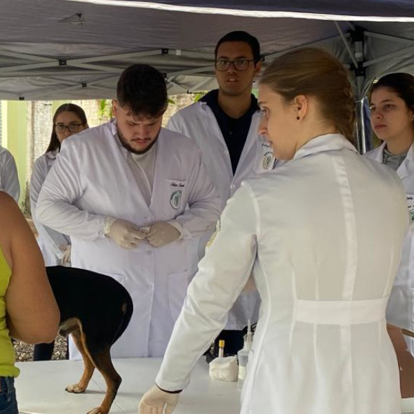 Vigilância em Saúde realiza Inquérito Sorológico de Leishmaniose Visceral Canina na Barra Funda