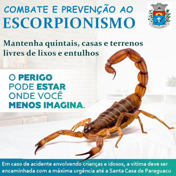 Departamento de Saúde dá dicas para prevenir acidentes com escorpiões em Paraguaçu Paulista