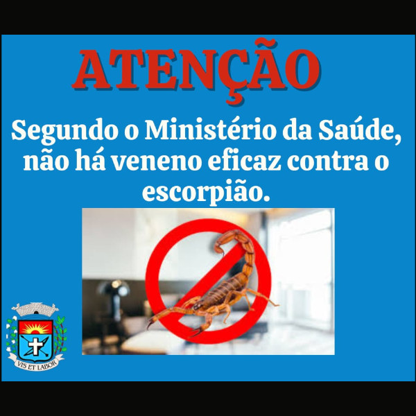 Aparecimento de escorpiões aumenta em Paraguaçu e Vigilância em Saúde alerta: veneno não é eficaz