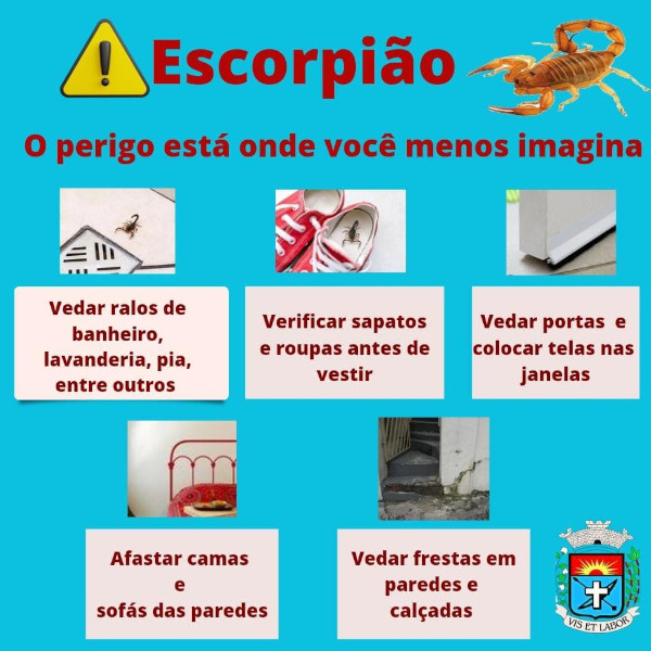 Vigilância em Saúde orienta população a redobrar cuidados com escorpiões