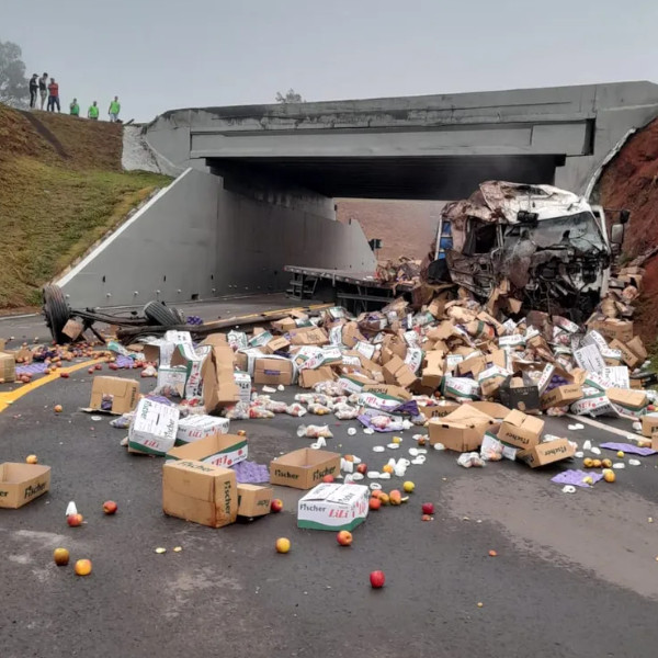 Caminhão cai de viaduto e deixa carga espalhada pela rodovia da região