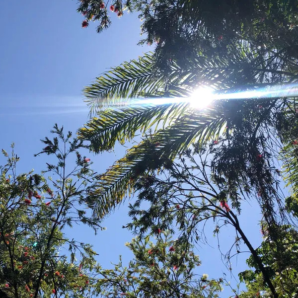 Primavera começa com altas temperaturas e baixa umidade do ar no Estado de São Paulo