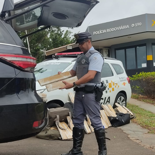 Apreendidos mais de 200 quilos de maconha na região