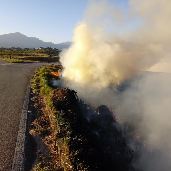 Em período de seca e calor intenso, atenção deve ser redobrada para o risco de incêndios florestais