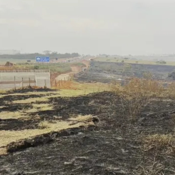 Queimada atinge fazenda às margens de rodovia da região